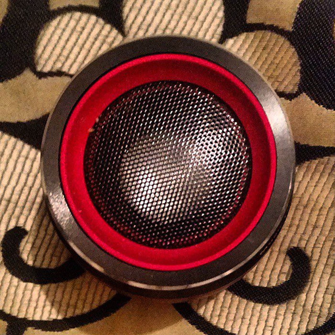 #Dailycircle — photograph 112