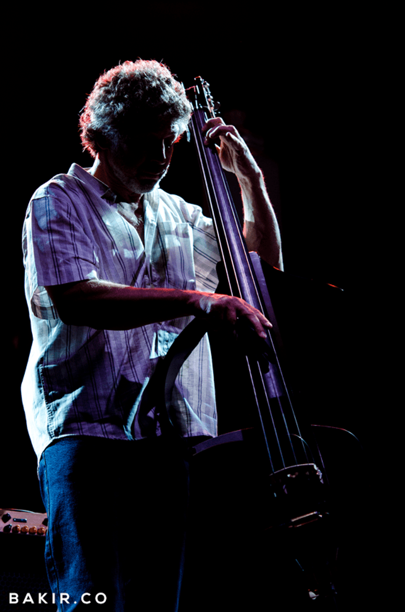 Jazz au Chellah — photograph 5