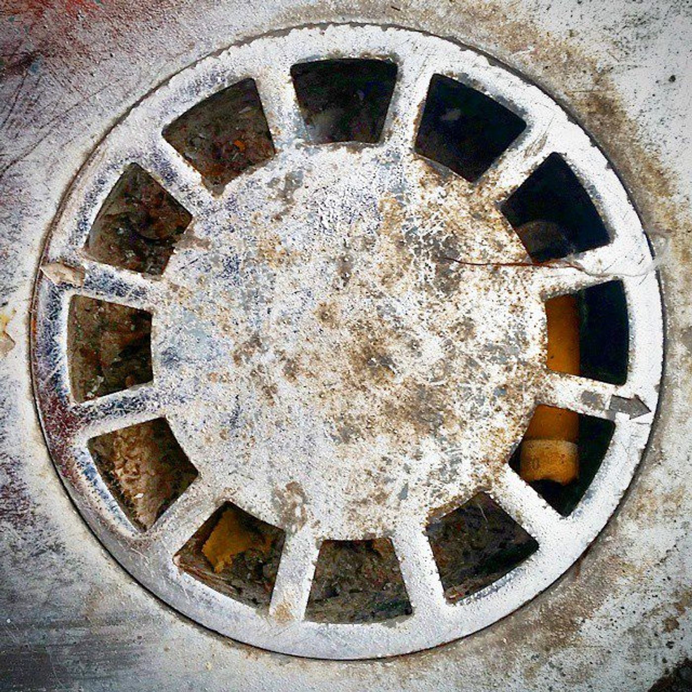 #Dailycircle — photograph 142