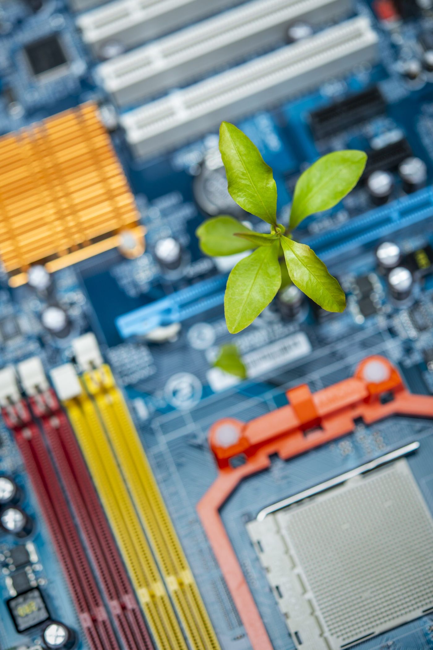 Green seedling sprouting from a blue computer motherboard with RAM slots