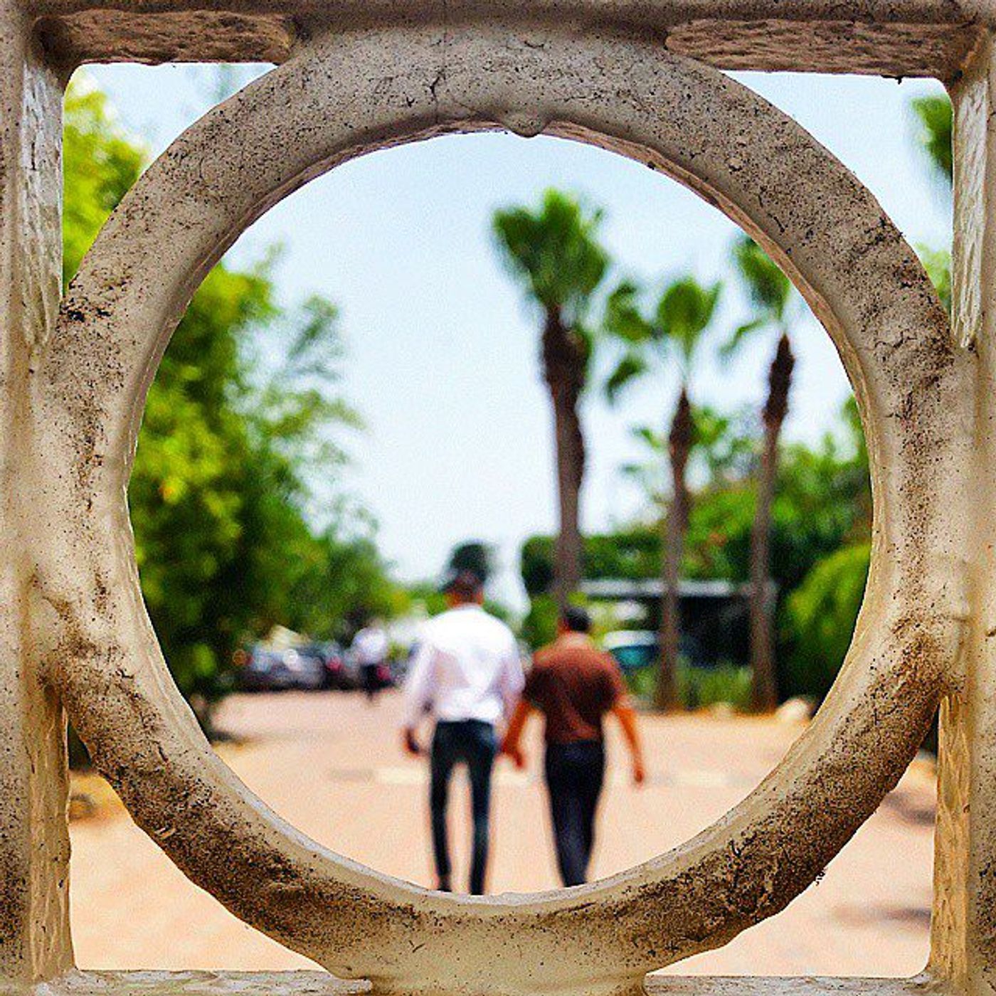 #Dailycircle — photograph 139