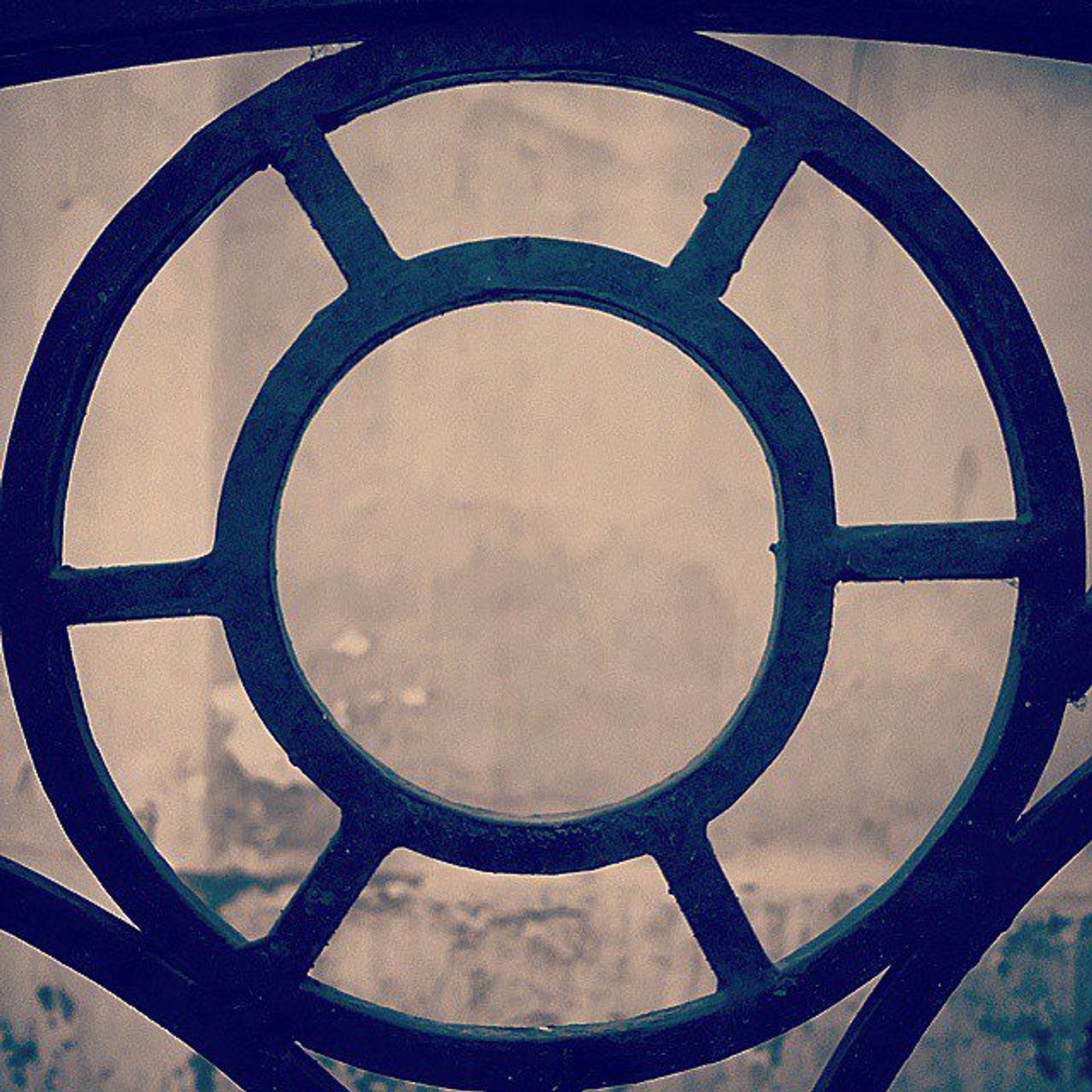 #Dailycircle — photograph 120