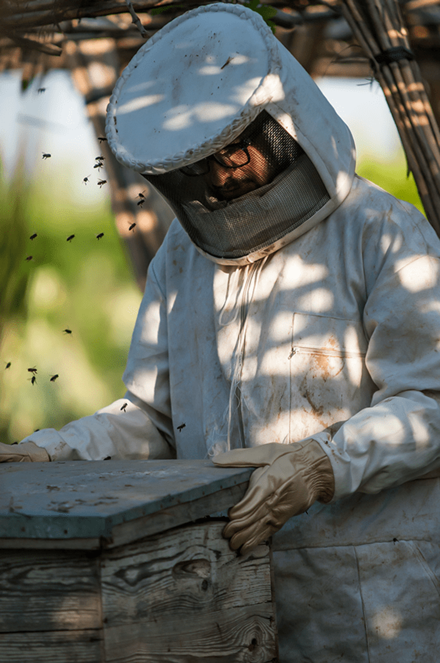 Maroc Export — photograph 7