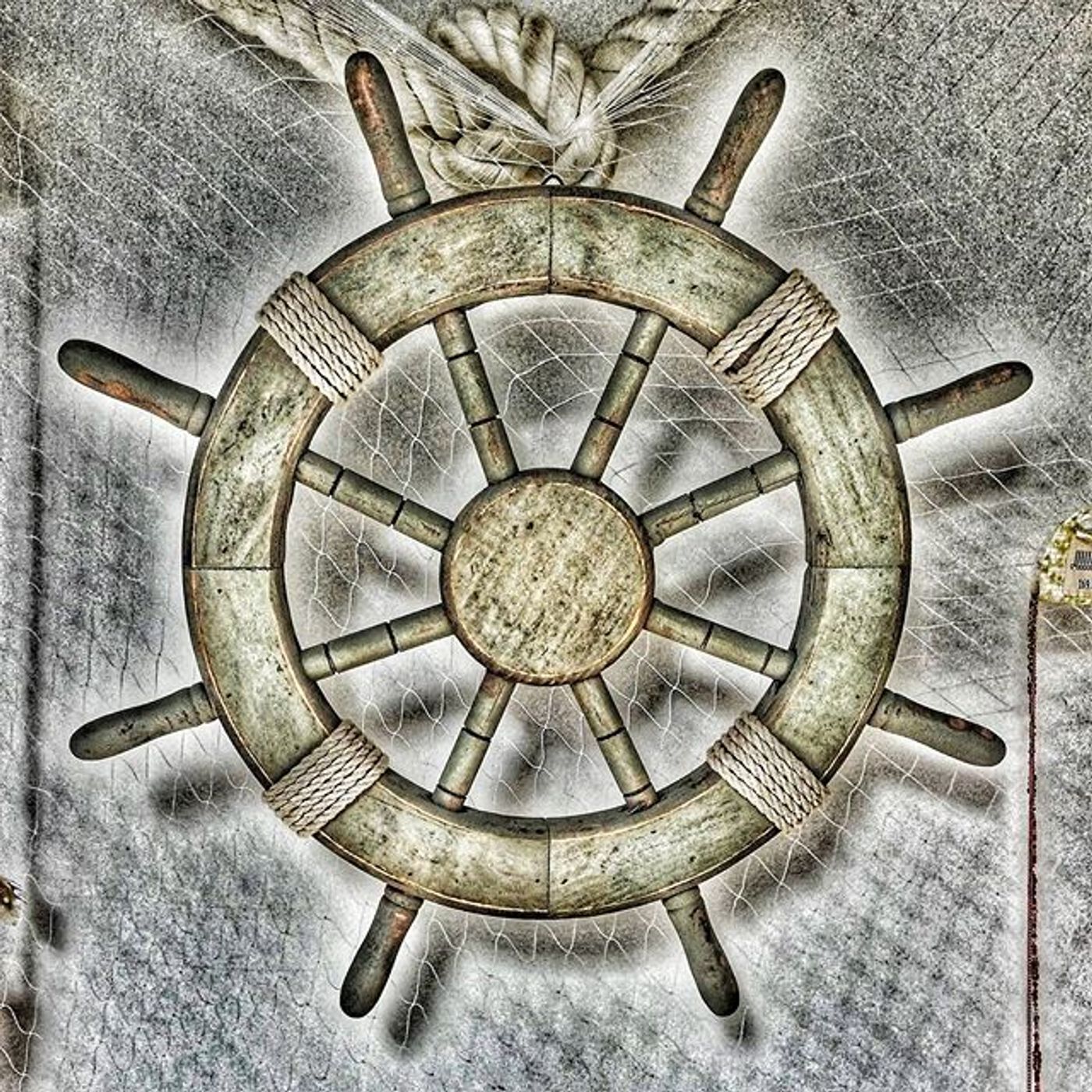 #Dailycircle — photograph 12