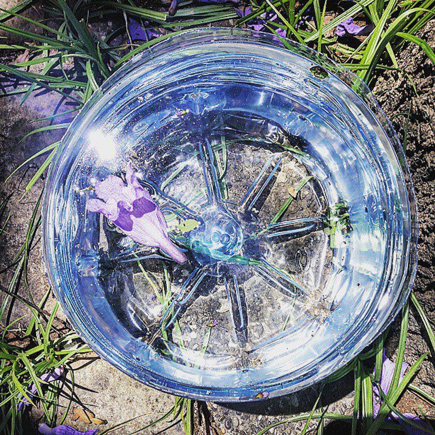 #Dailycircle — photograph 153