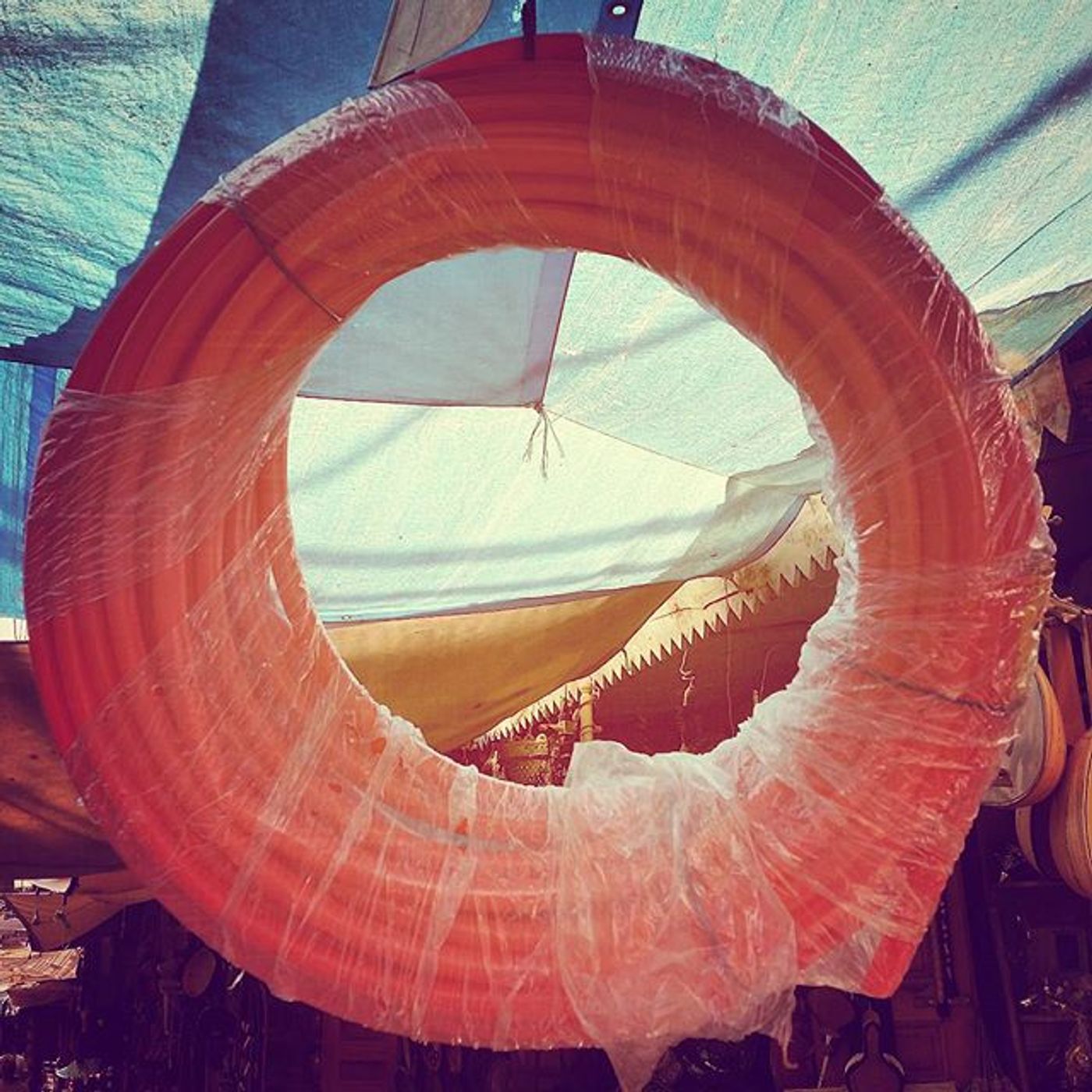 #Dailycircle — photograph 83