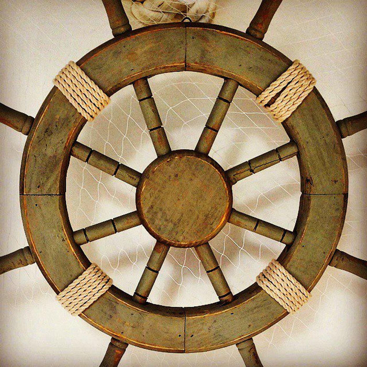 #Dailycircle — photograph 92