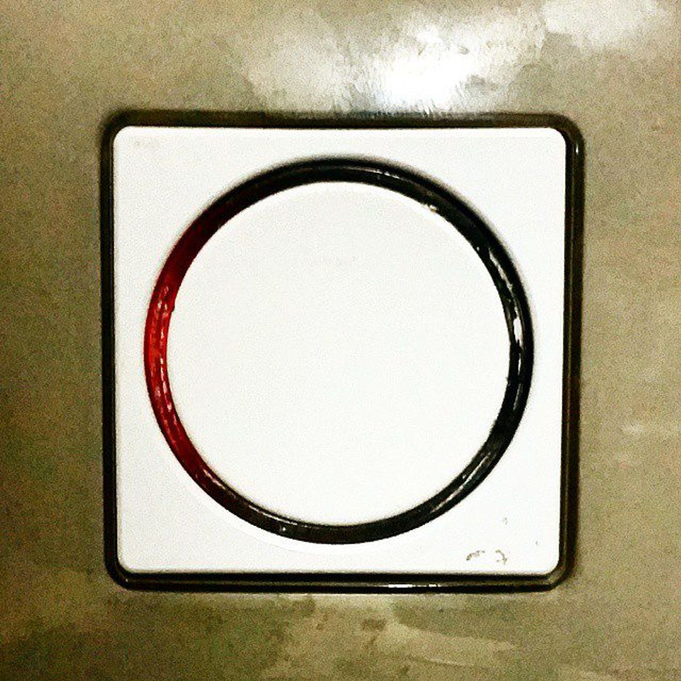 #Dailycircle — photograph 137