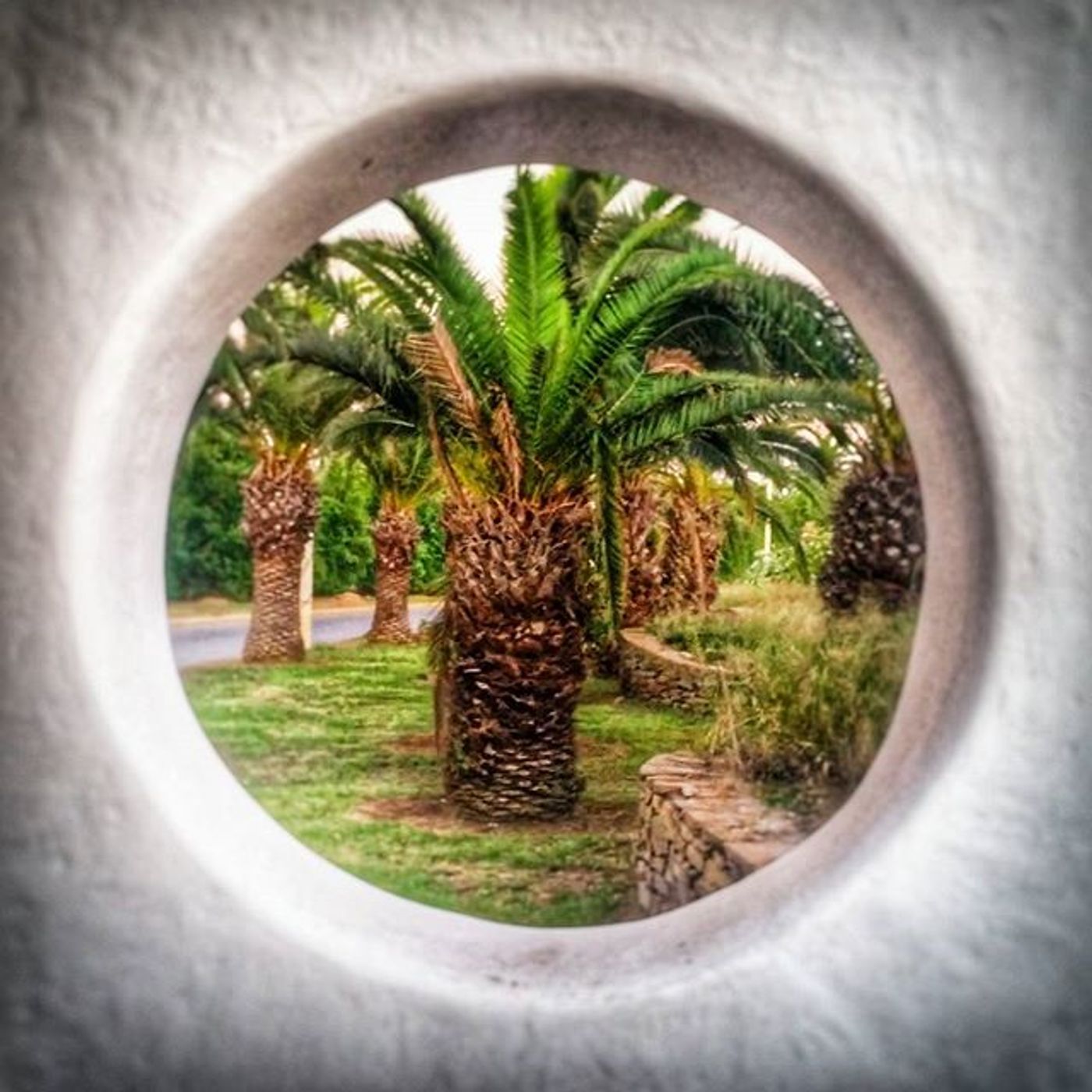 #Dailycircle — photograph 49