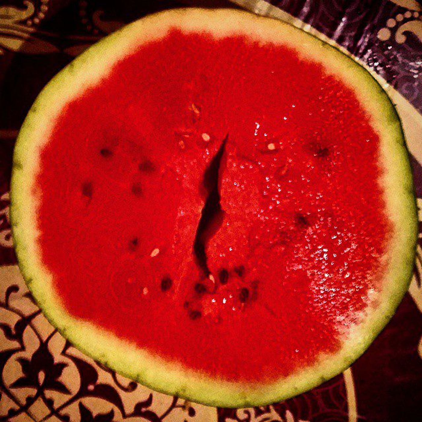 #Dailycircle — photograph 126