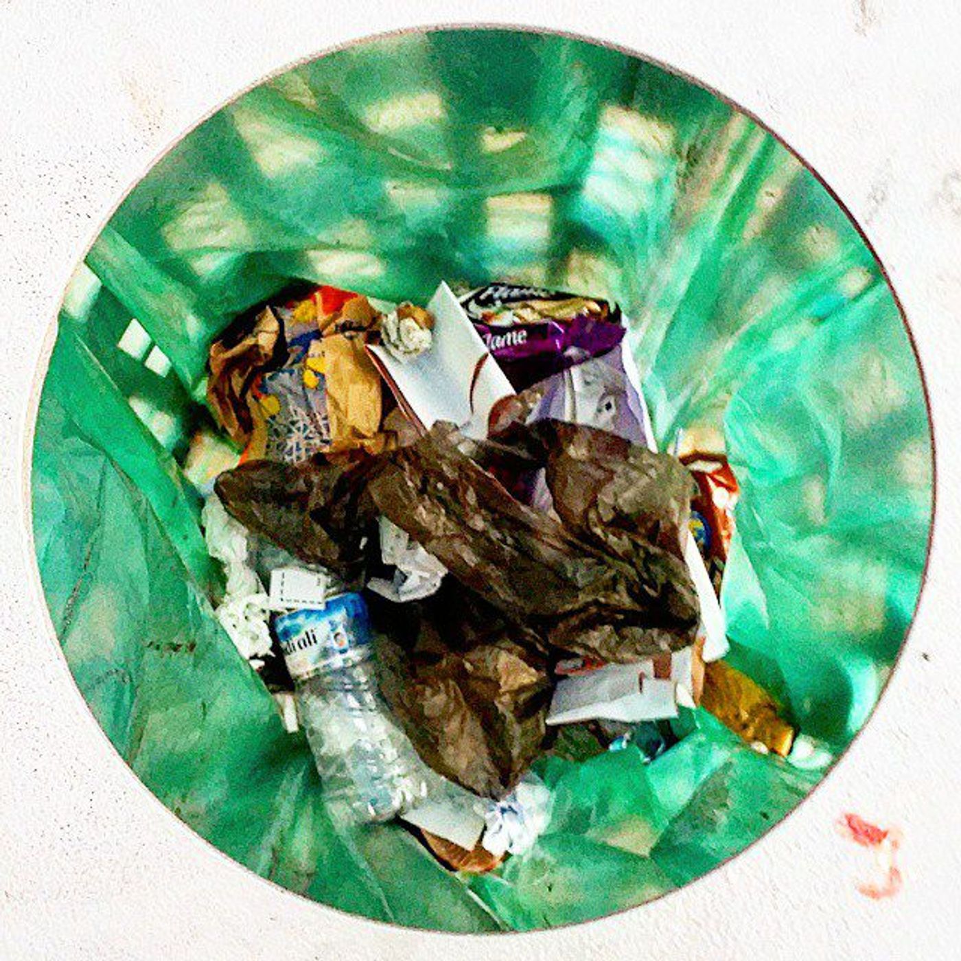 #Dailycircle — photograph 147