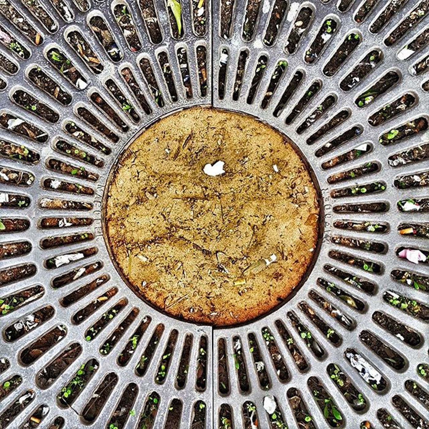 #Dailycircle — photograph 3