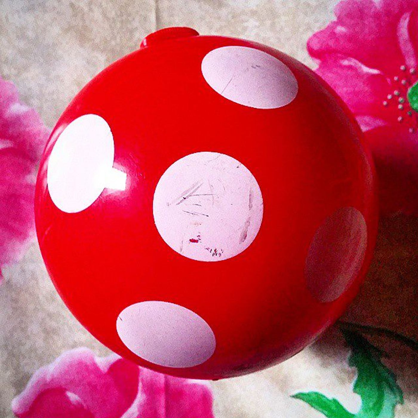 #Dailycircle — photograph 132