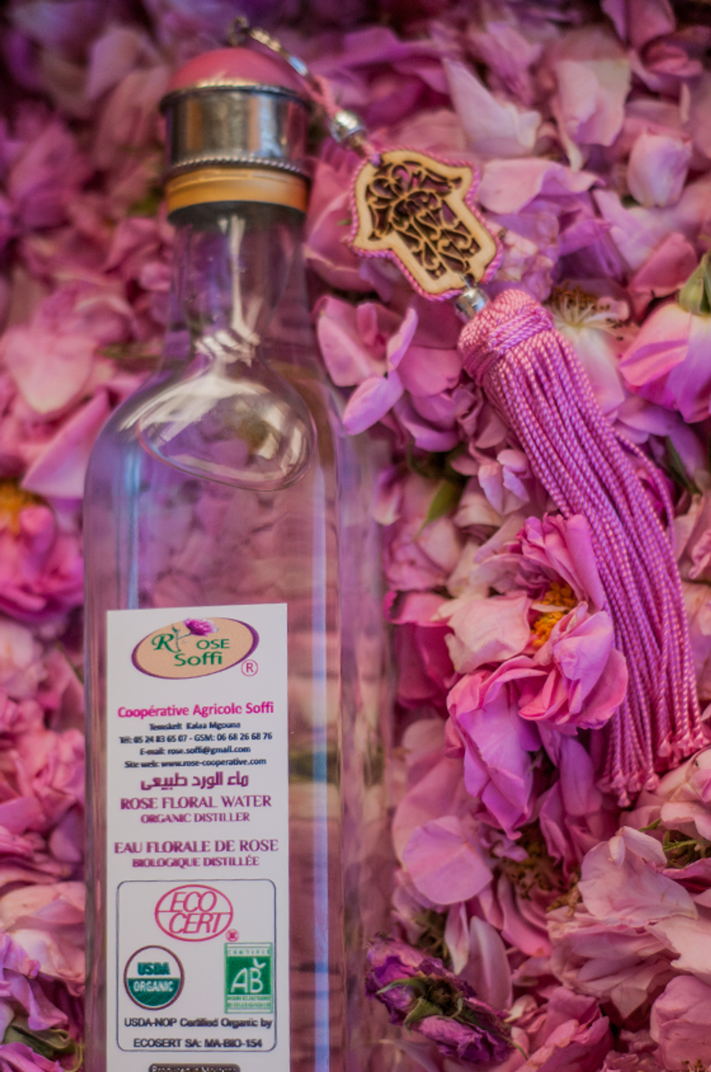 Festival of Roses — photograph 6