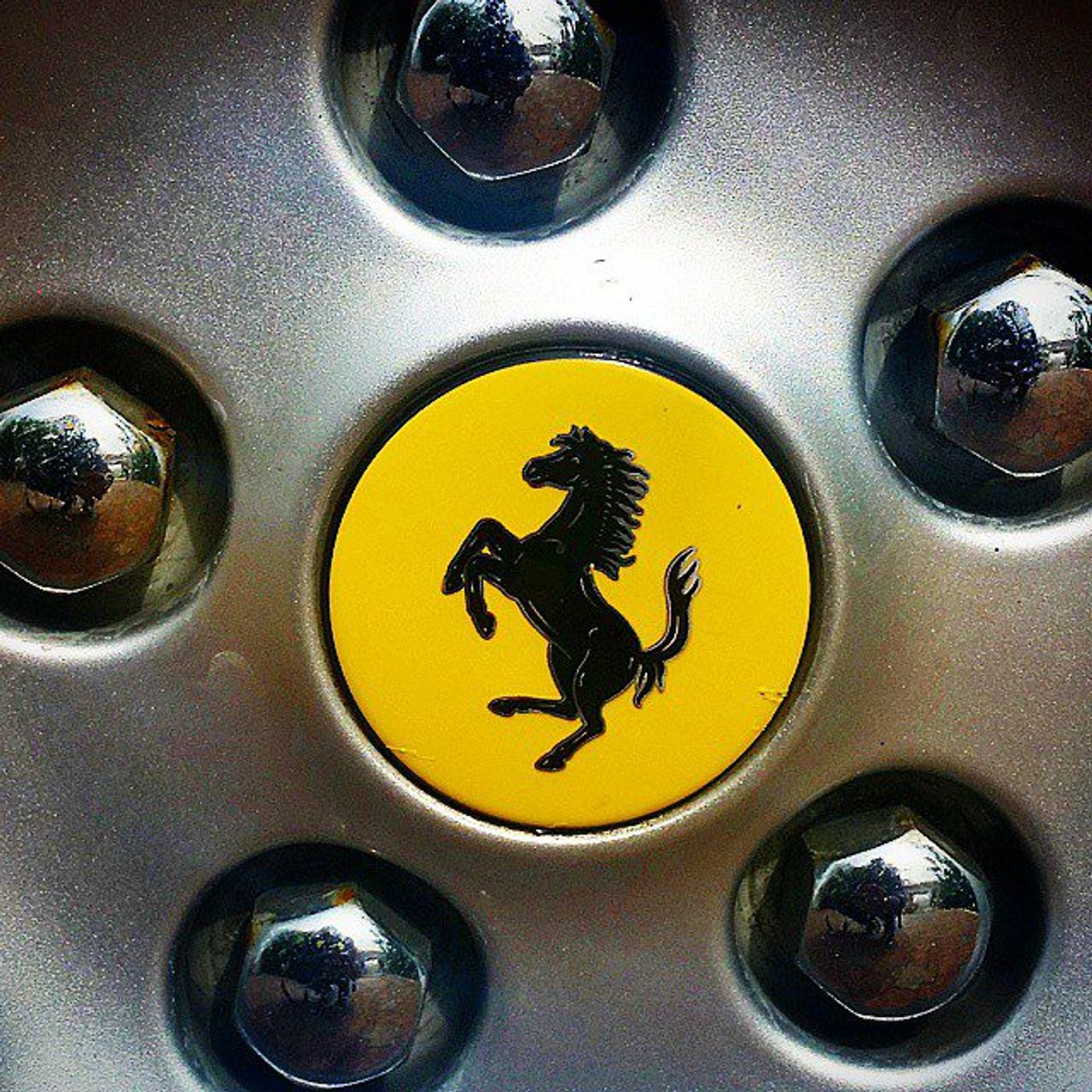 #Dailycircle — photograph 138