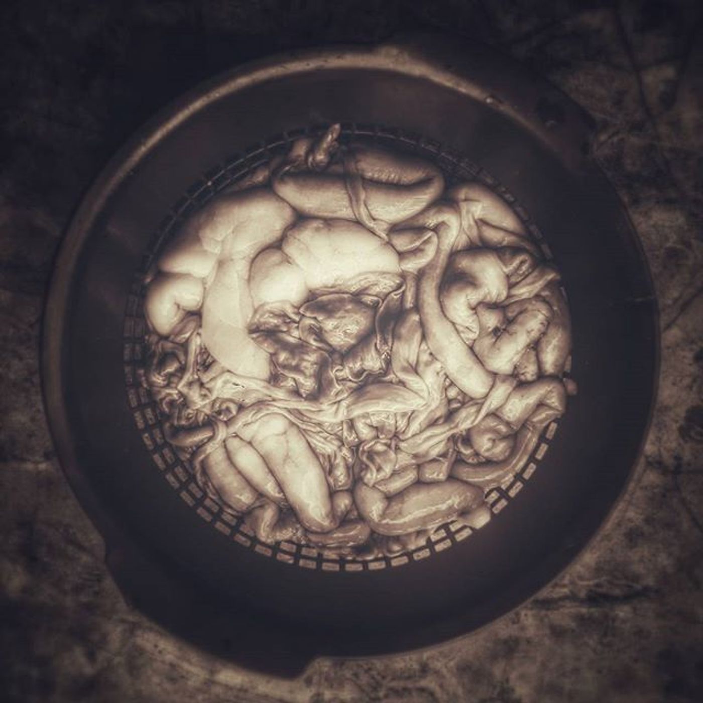 #Dailycircle — photograph 40