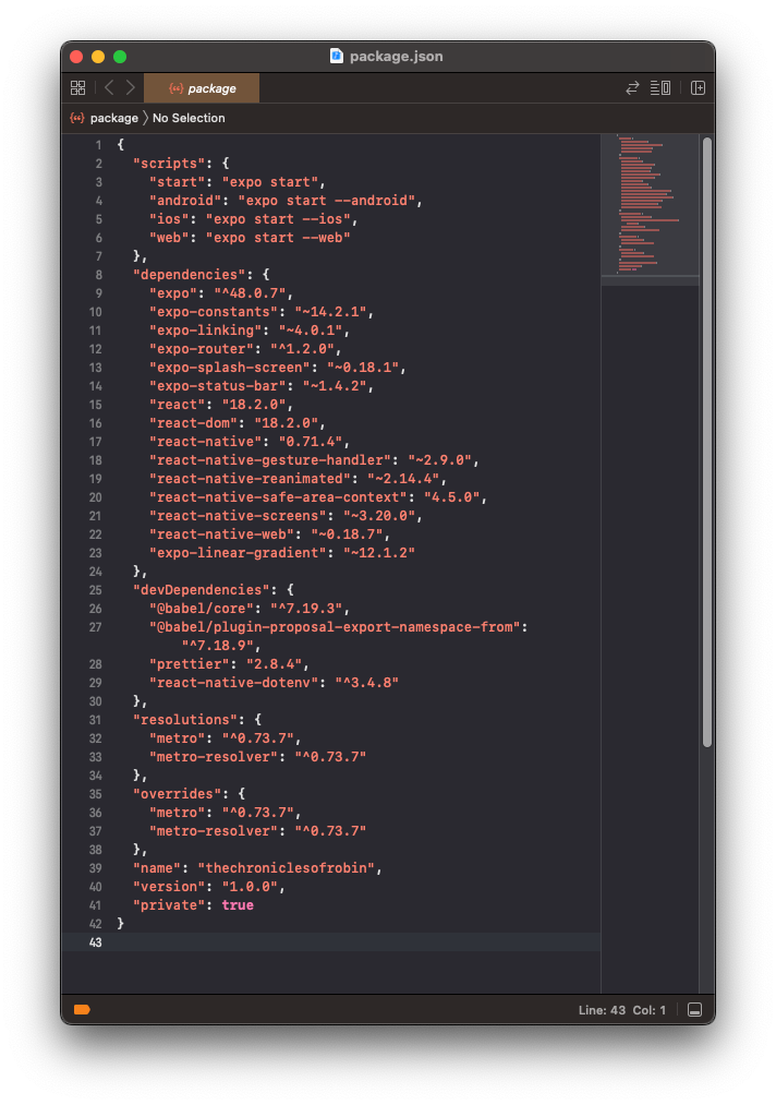 package json file