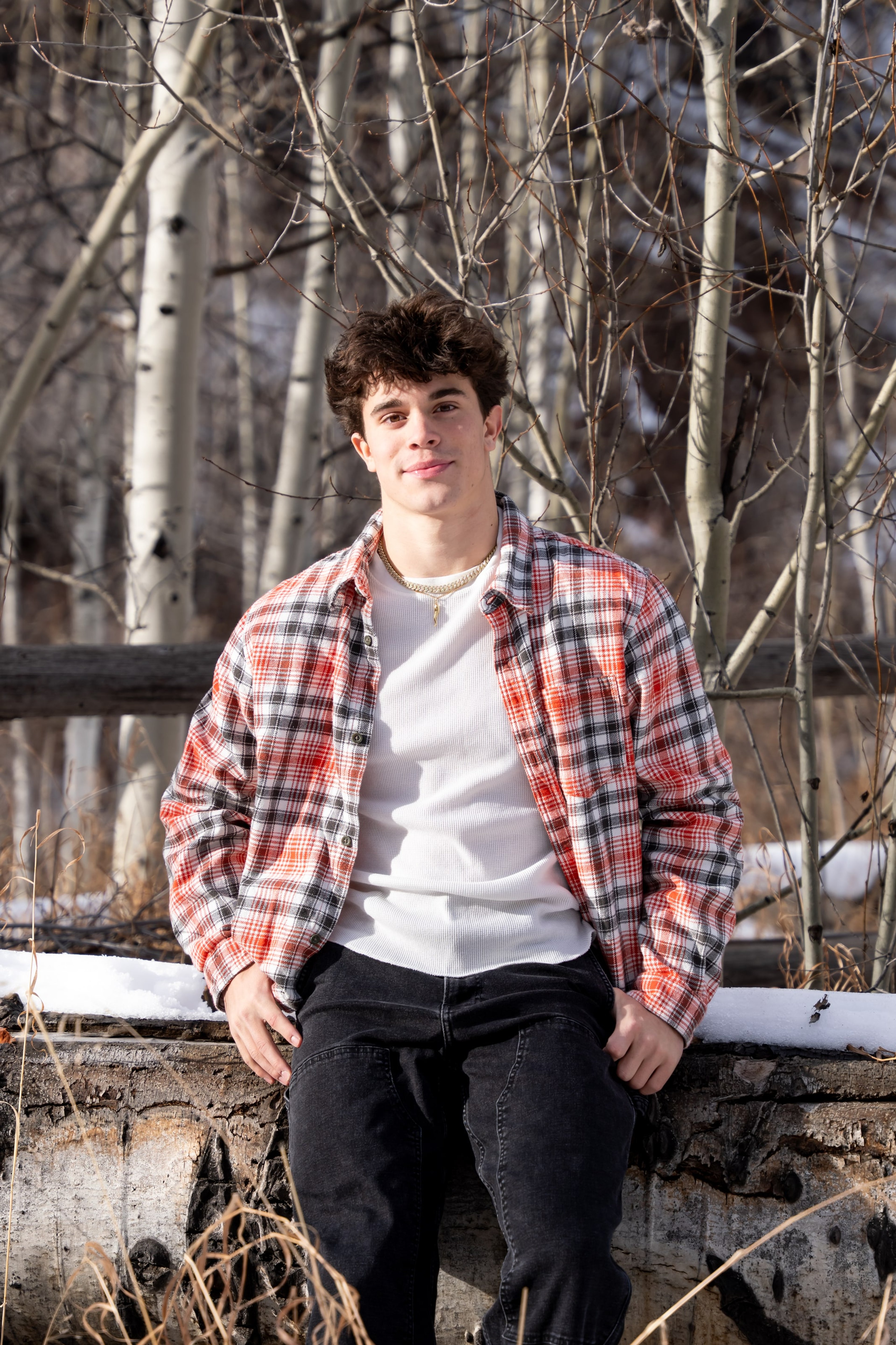 Ryder in plaid seated on a fallen aspen rail