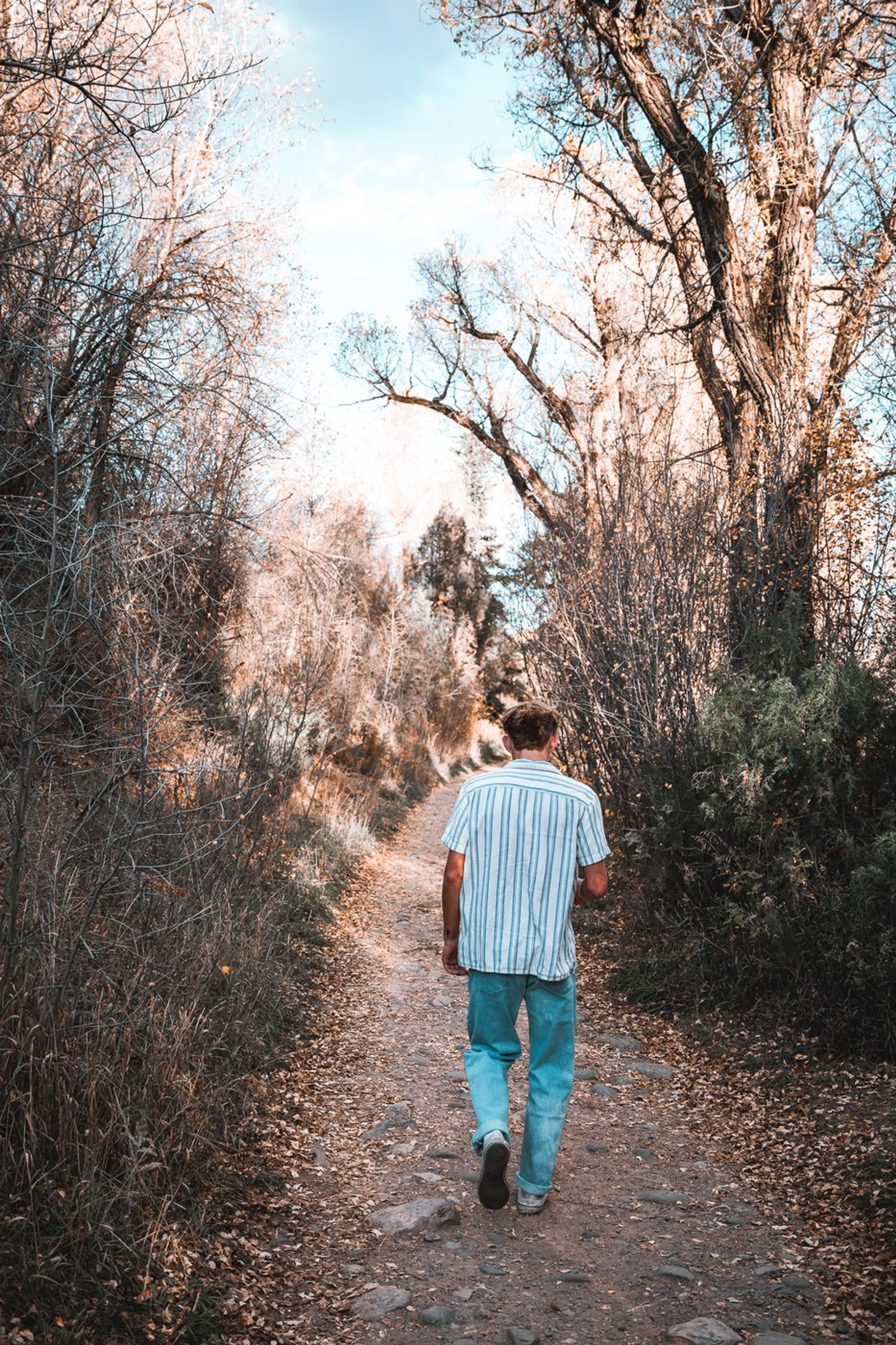 A young man walks a tree-lined dirt path in warm autumn light