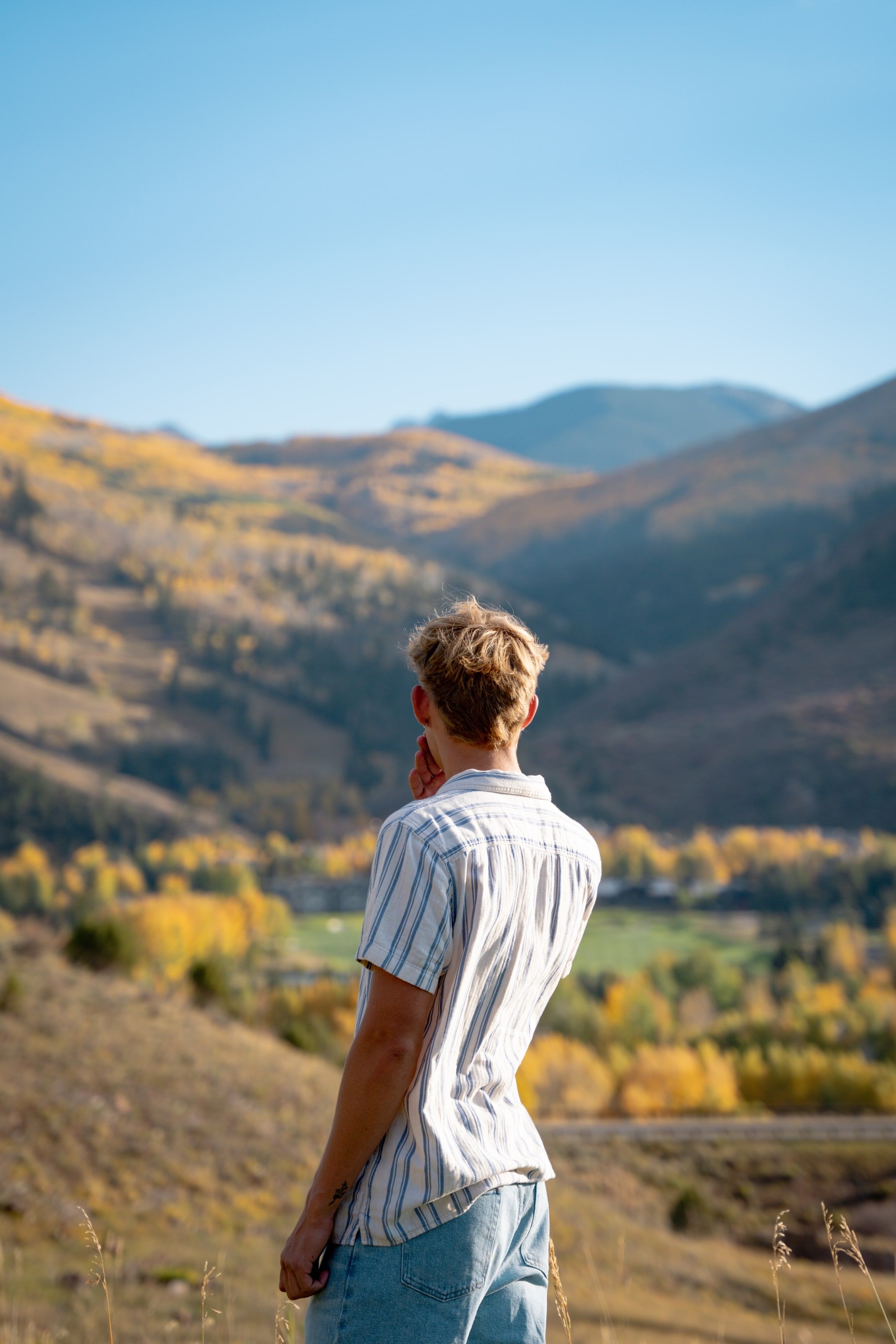 Wyat overlooking a golden aspen valley from a high ridge