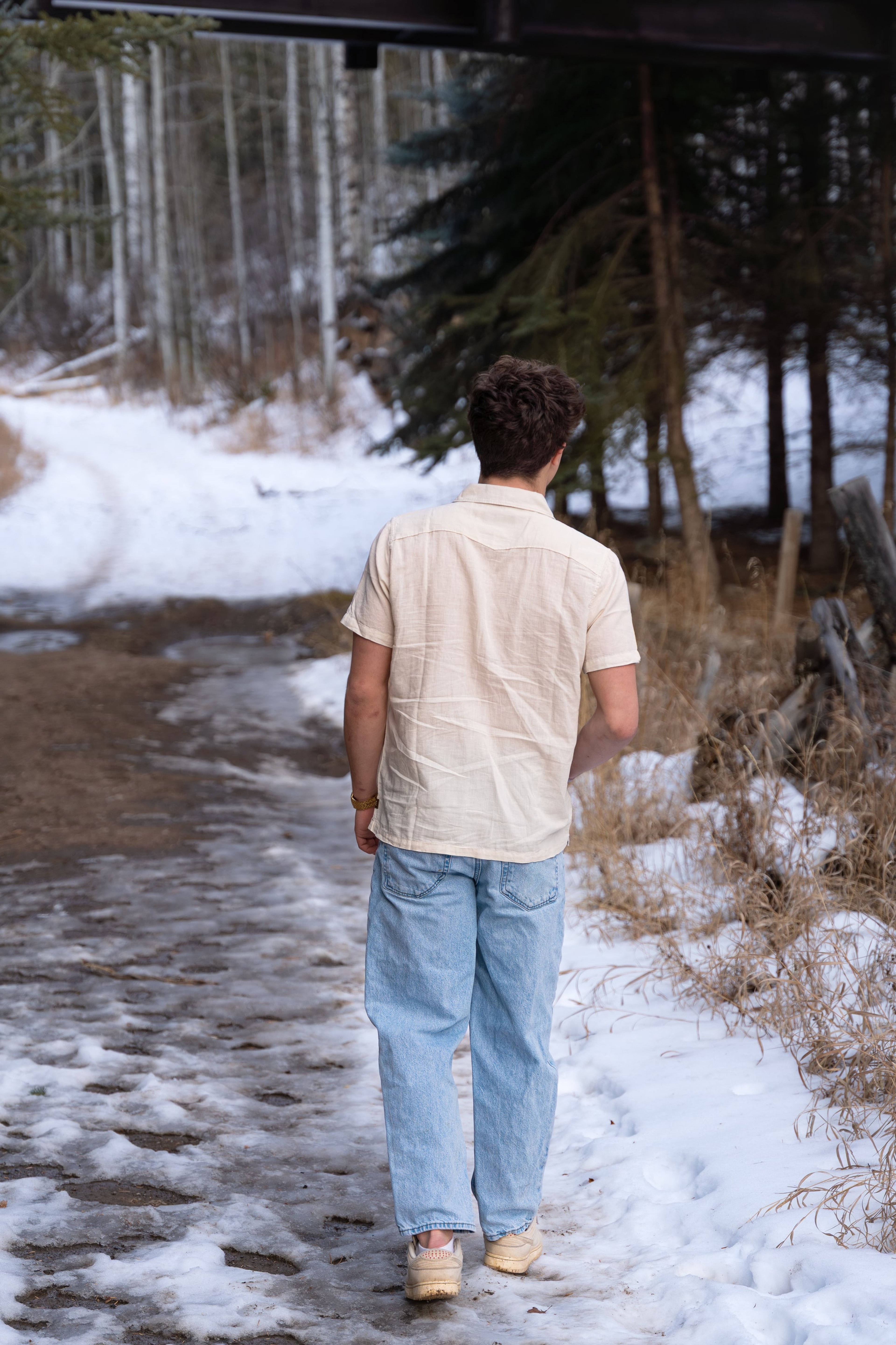 Ryder from behind walking into the aspen grove