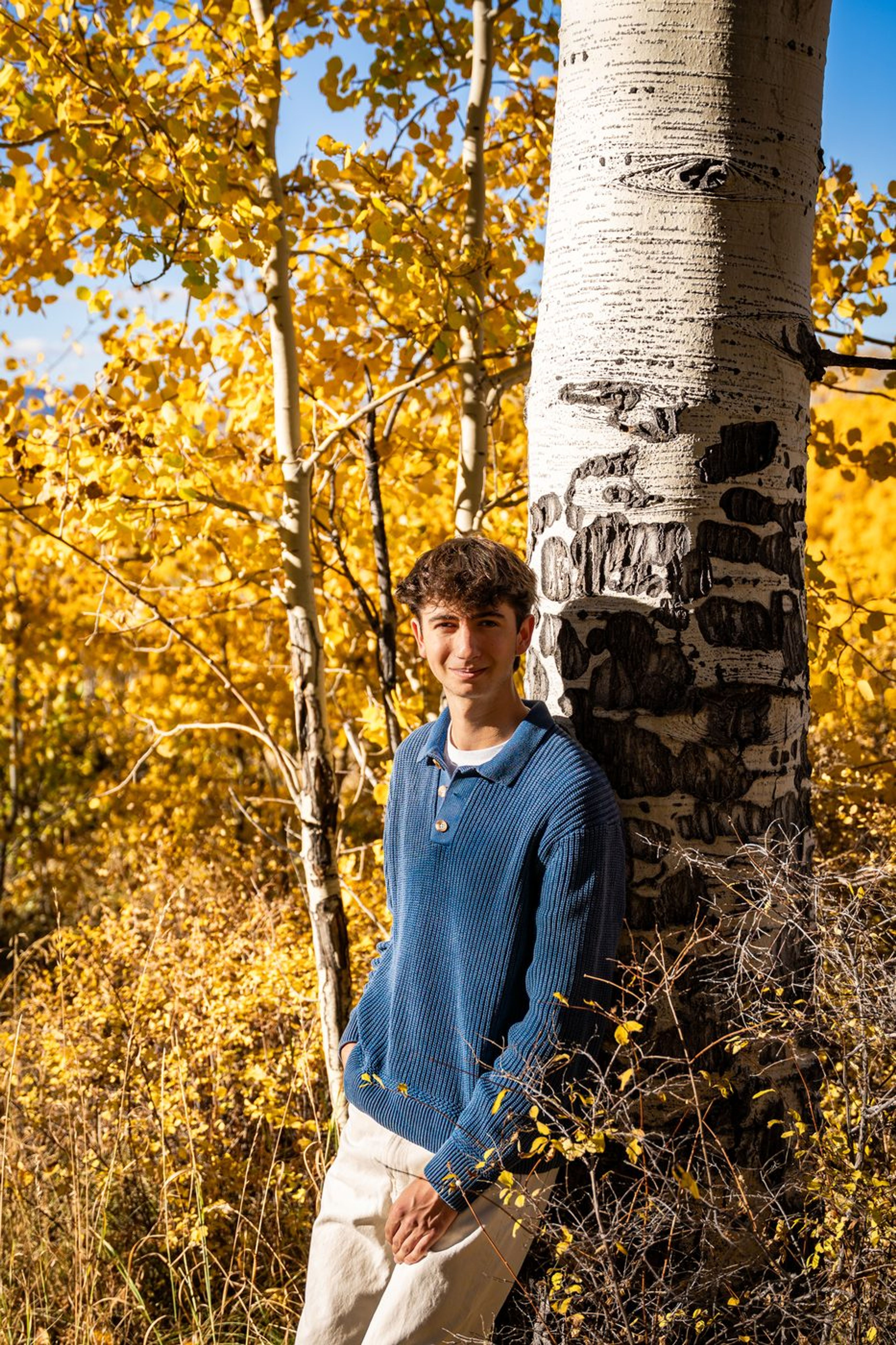 Senior portrait leaning against an aspen trunk amid golden leaves