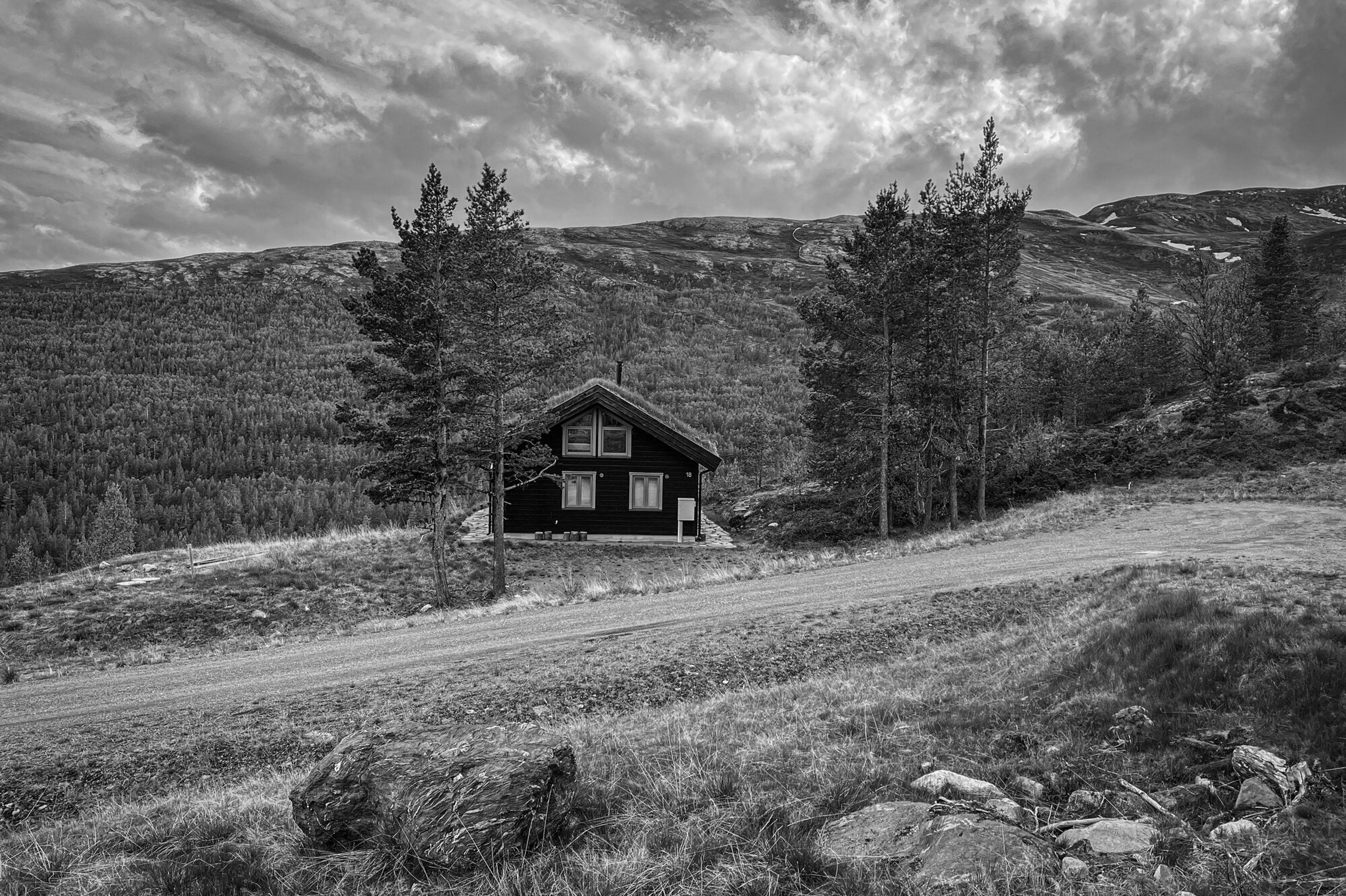 A lone cabin on a Norwegian hillside beneath scattered birch, in muted monochrome