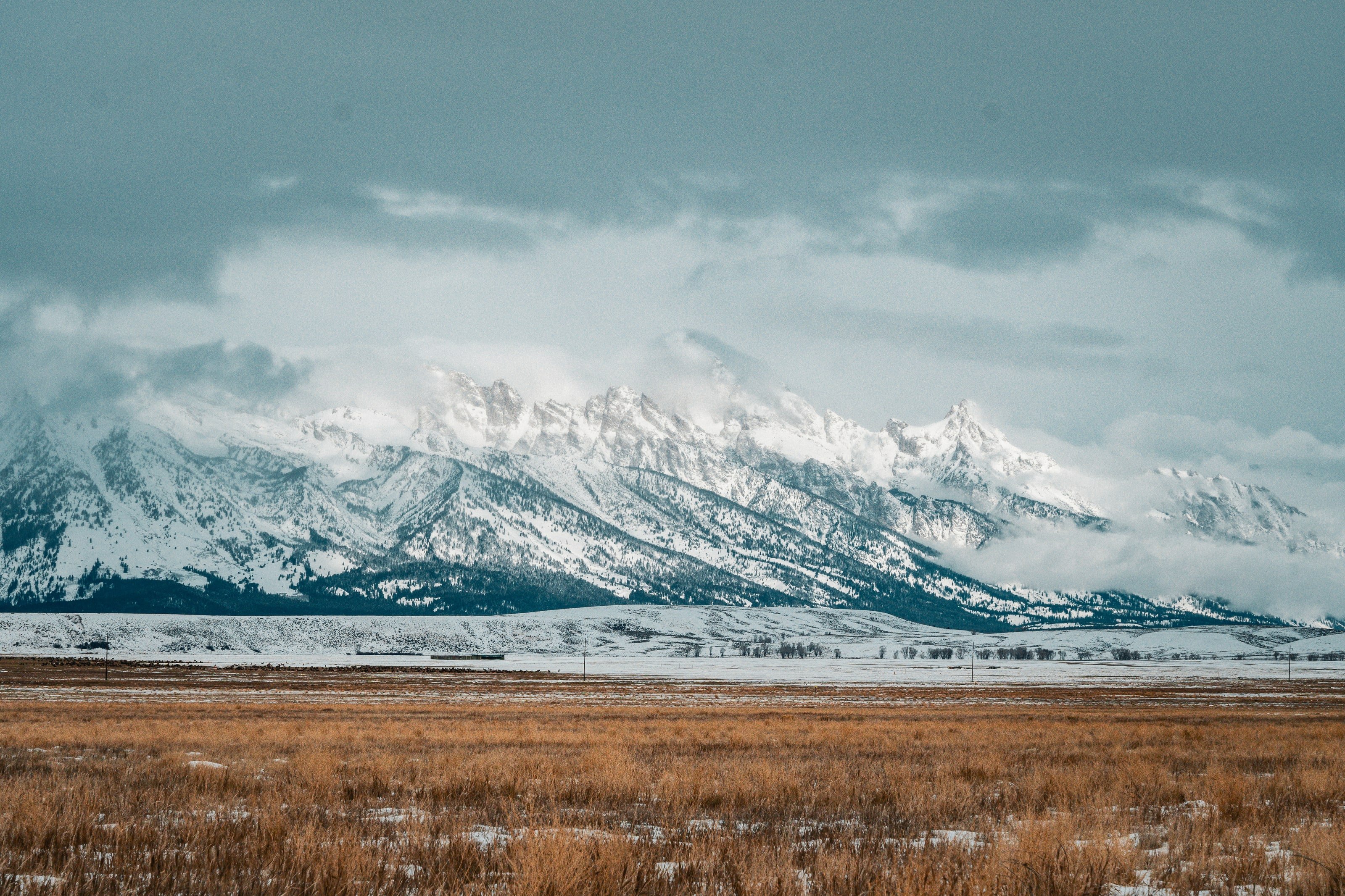 The Teton range rising snow-covered above a golden winter prairie