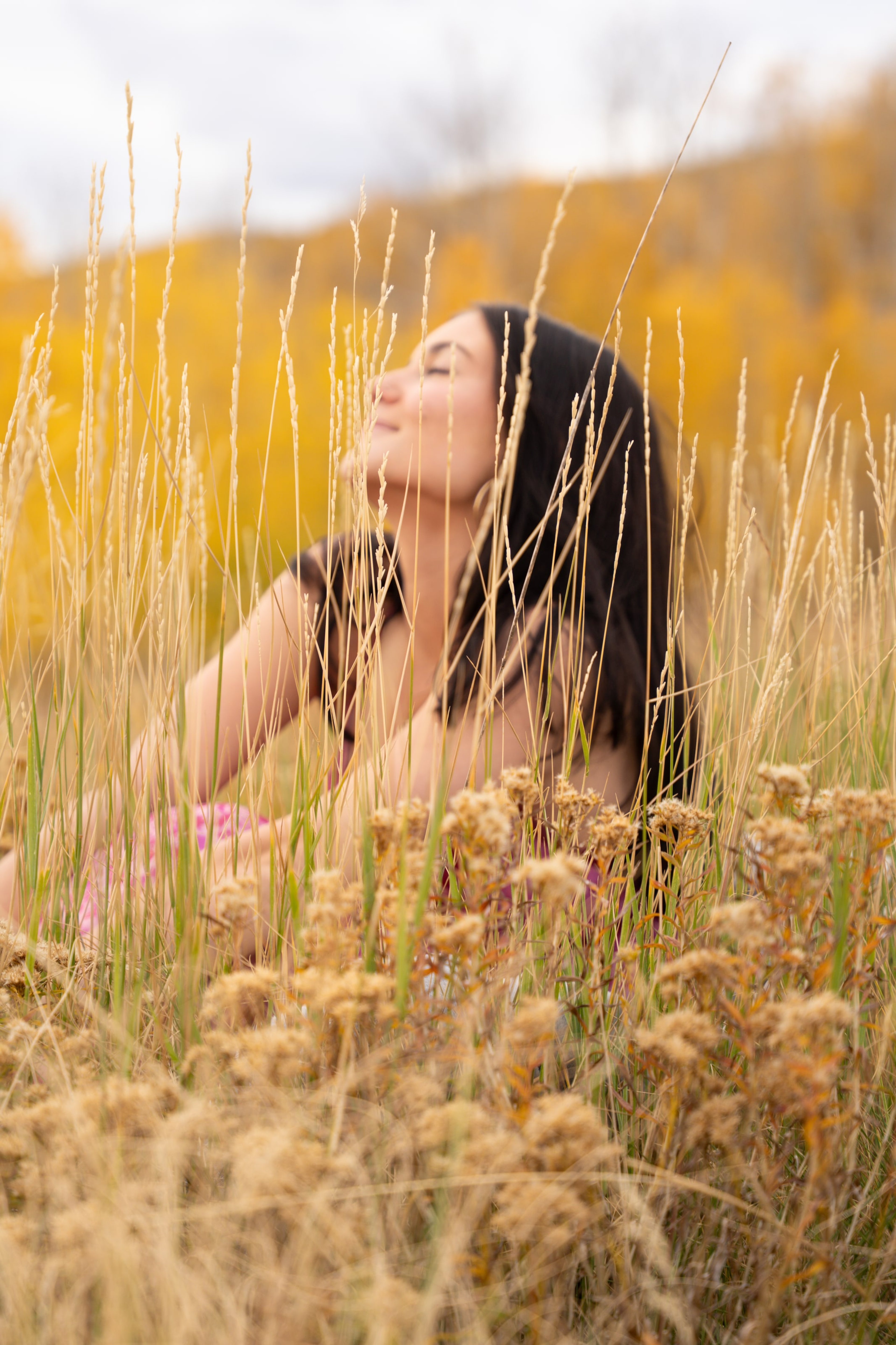 Lucy resting in tall amber grass with her eyes closed