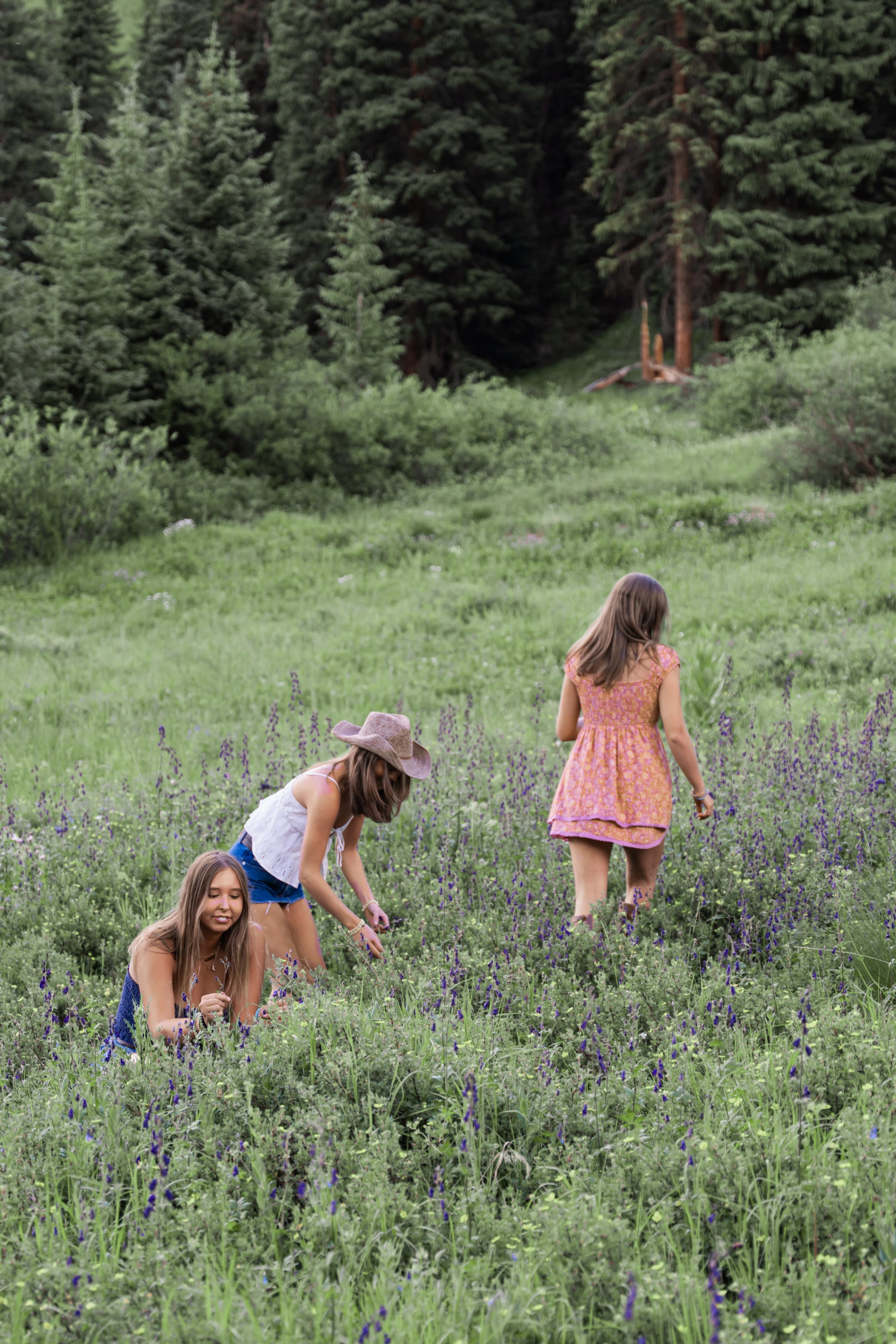 Two friends wading through deep wildflowers up the hillside