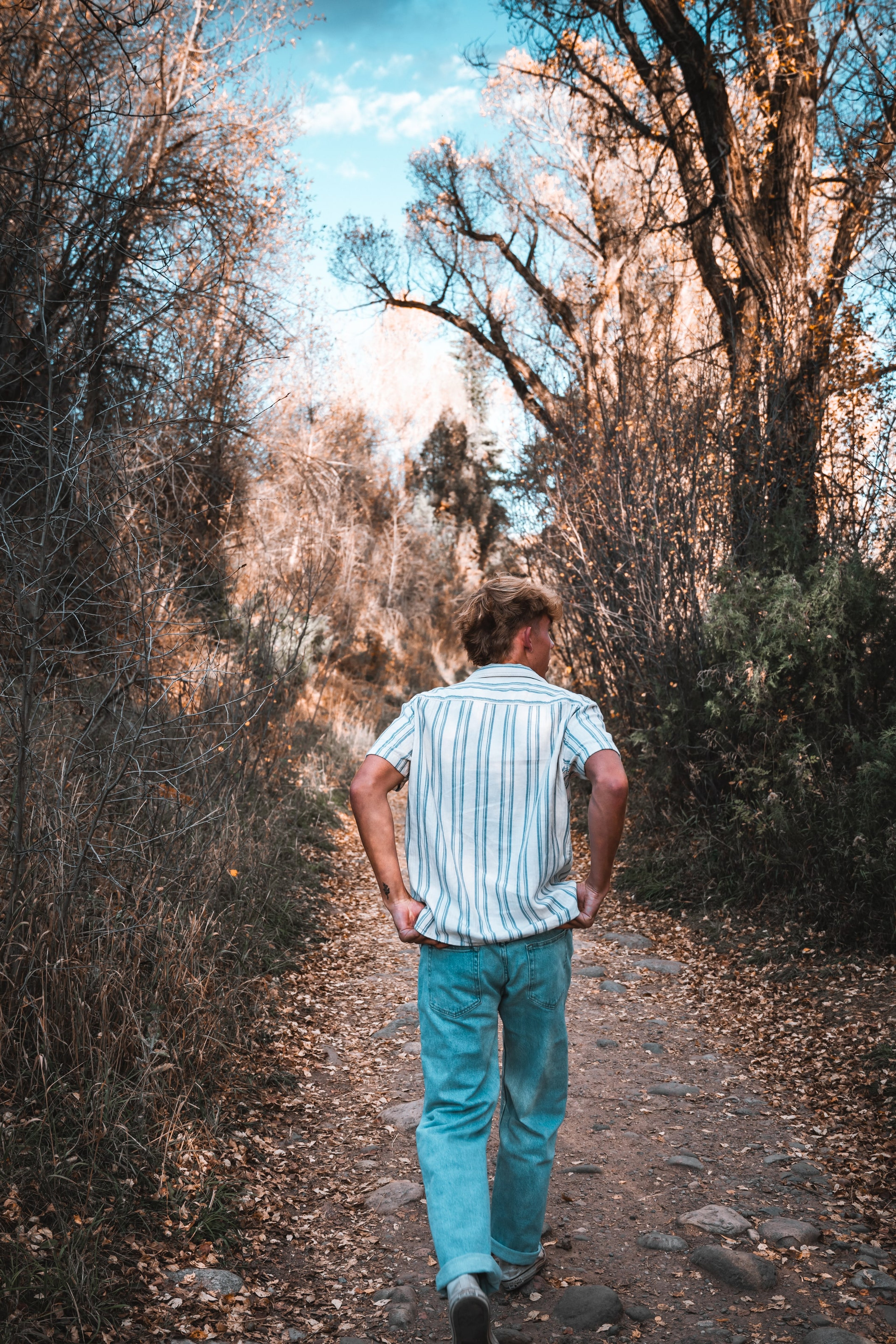 Wyat walking away up an autumn path beneath bare trees