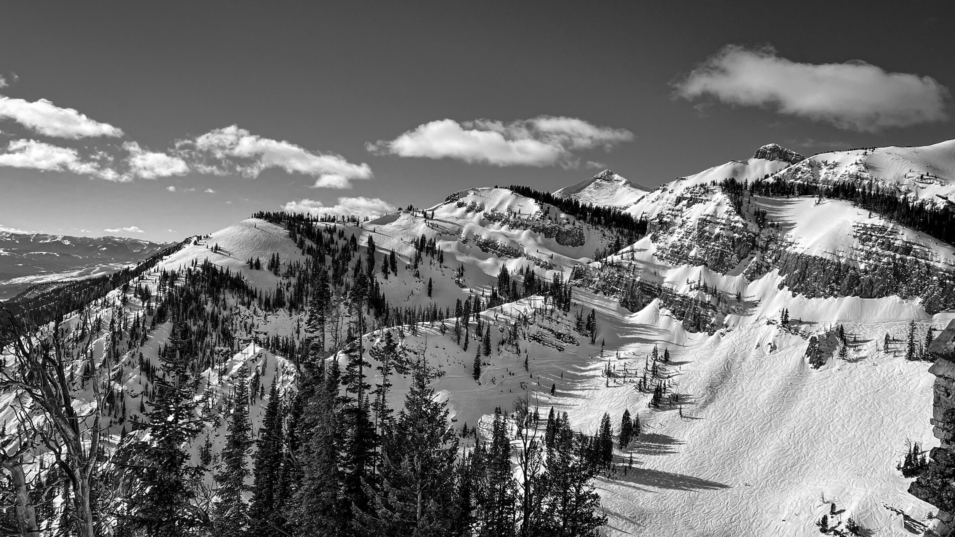 A corniced ridge of evergreens and deep snow rolling toward distant peaks, in black and white