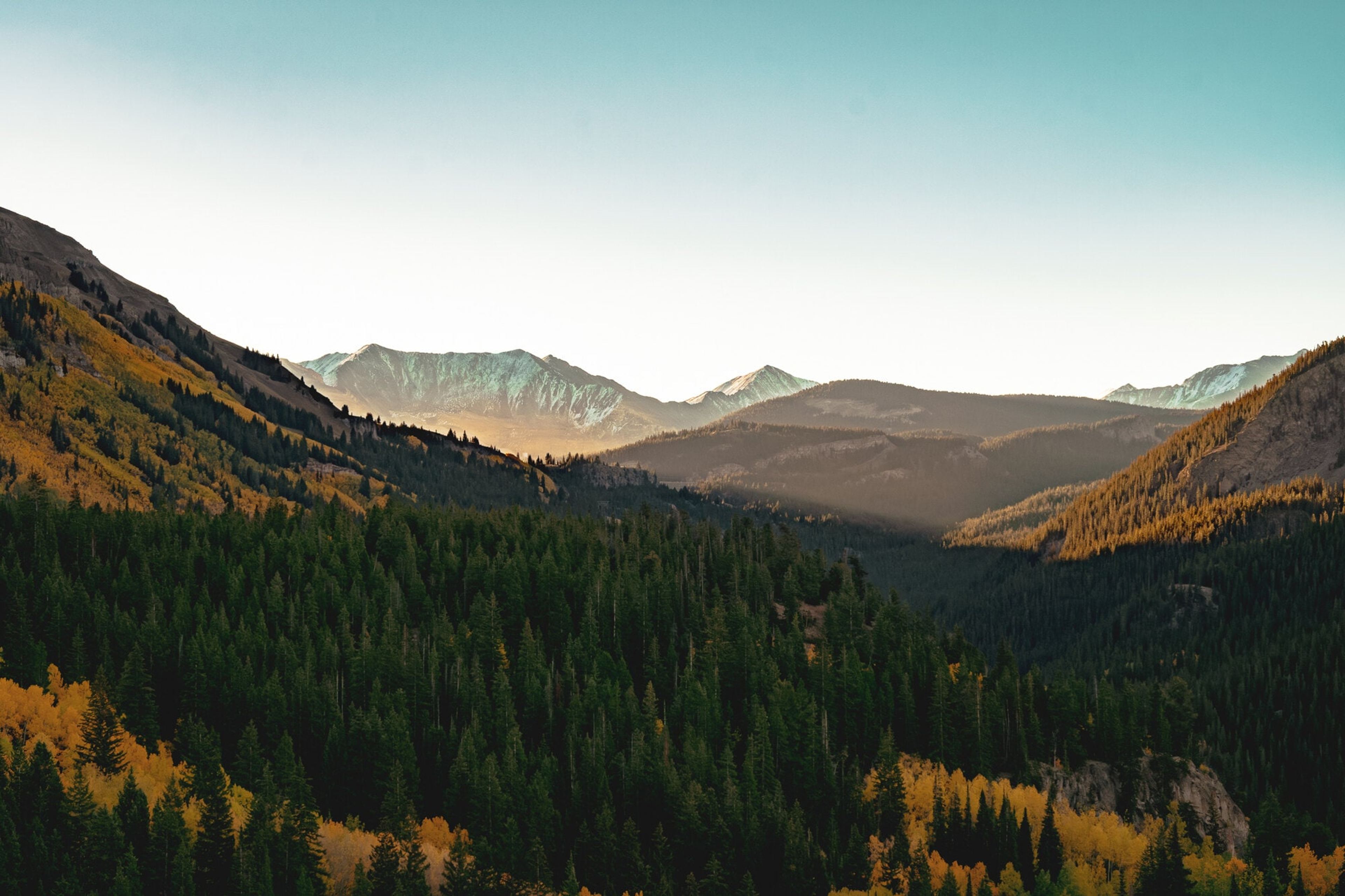 Golden aspen ridges folding into a blue Colorado valley at first light