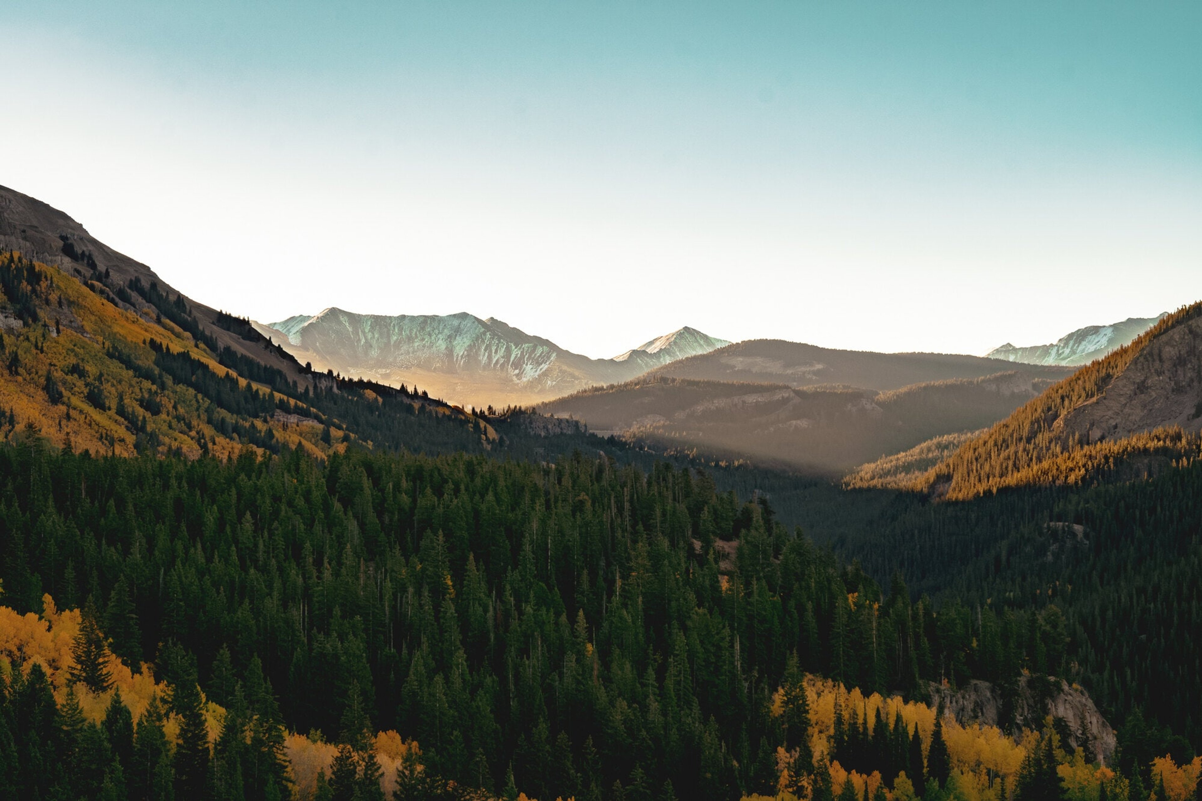 Golden aspen ridges folding into a blue Colorado valley at first light