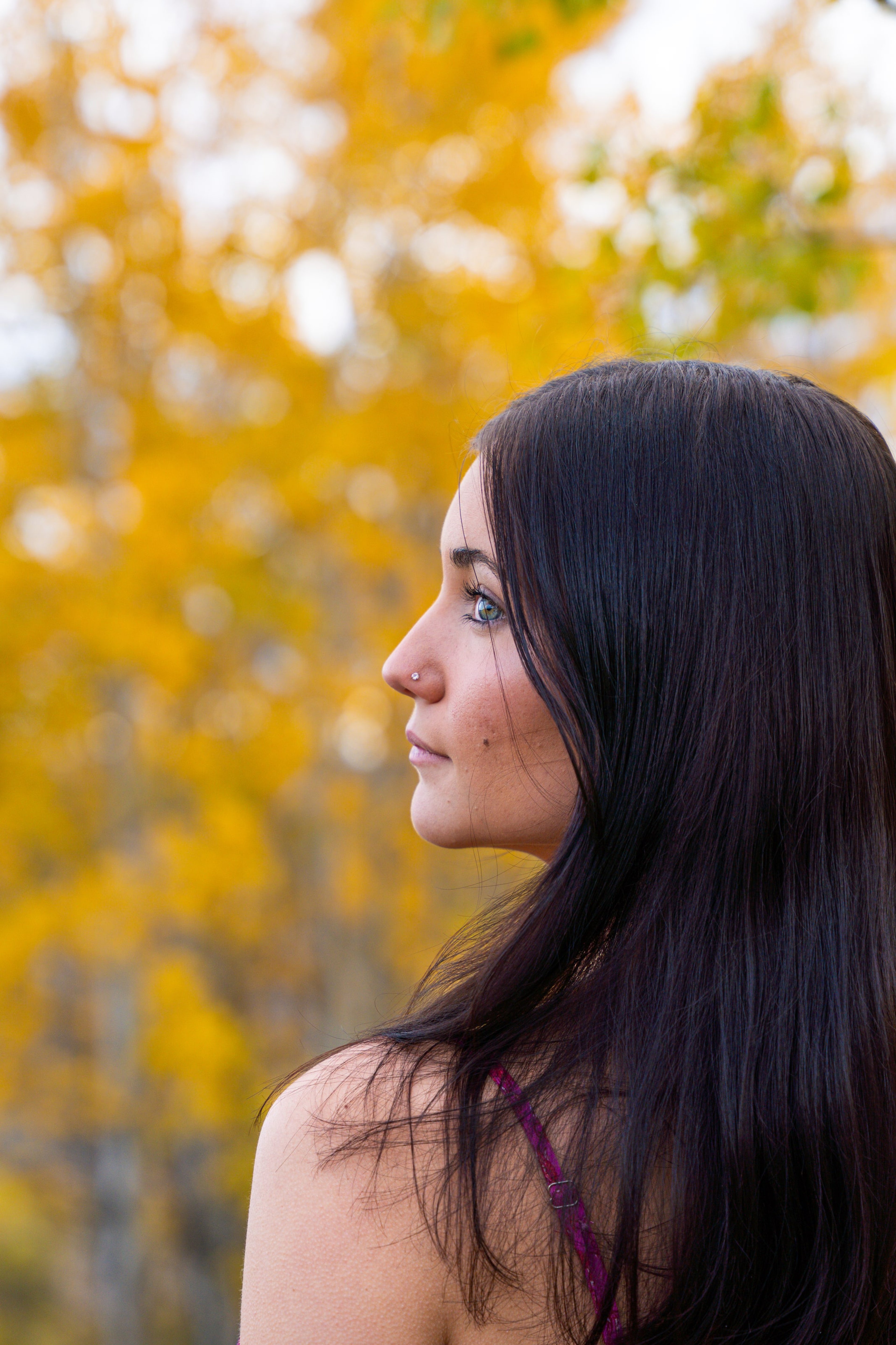 Profile of Lucy against blurred golden aspen leaves