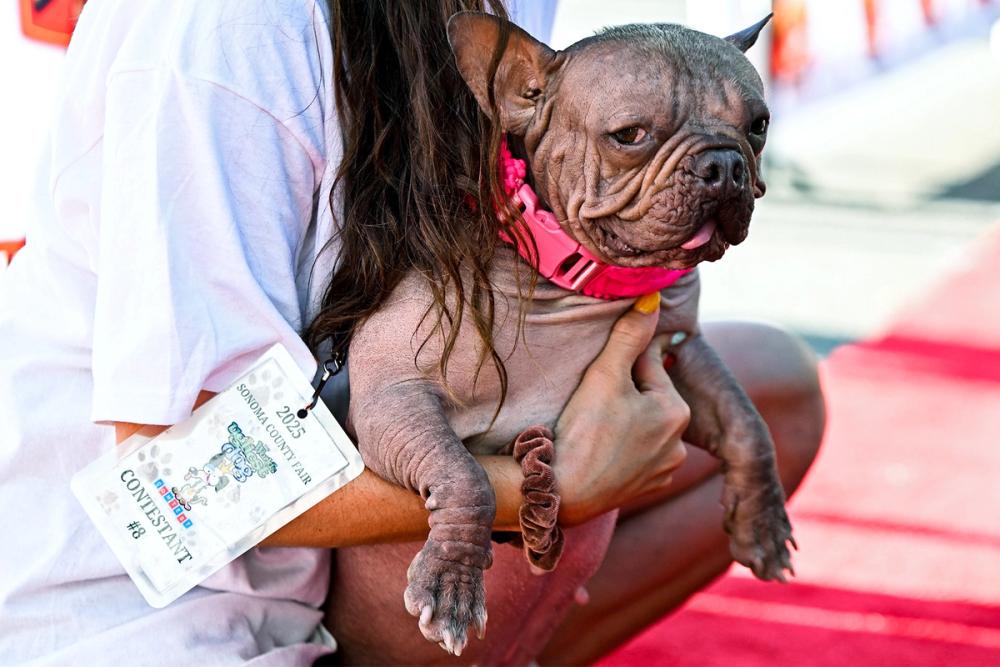 Screenshot of Petunia Wins Big