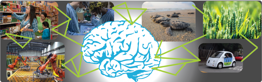 Screenshot of ECS Alternate Curriculum Unit on Artificial Intelligence