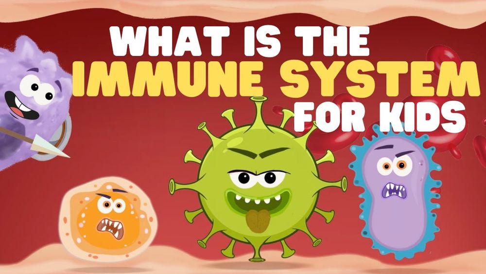 Screenshot of What Is the Immune System for Kids Screenshot of What Is the Immune System for Kids