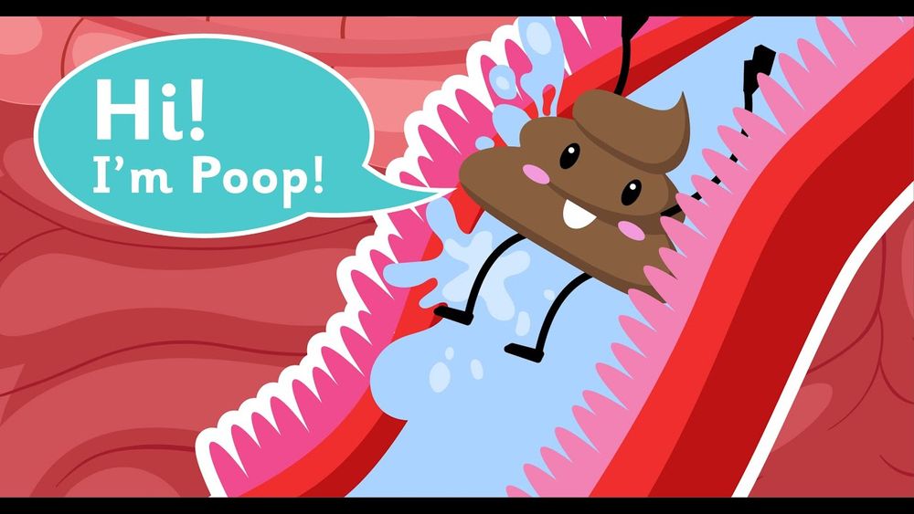 Screenshot of Digestive System Explained for Kids