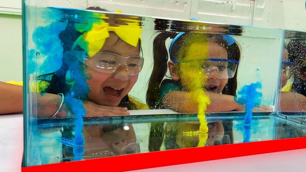 Screenshot of Jannie and Ellie Sink or Float Science Experiment