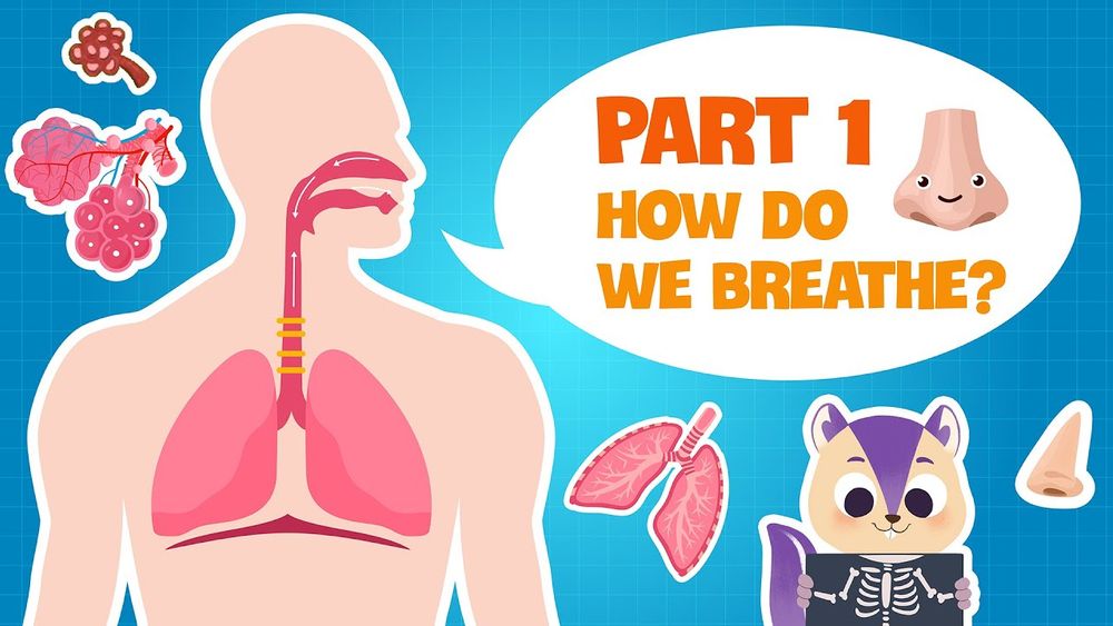 Screenshot of Biology | Secret of our Respiratory System (PART 1)