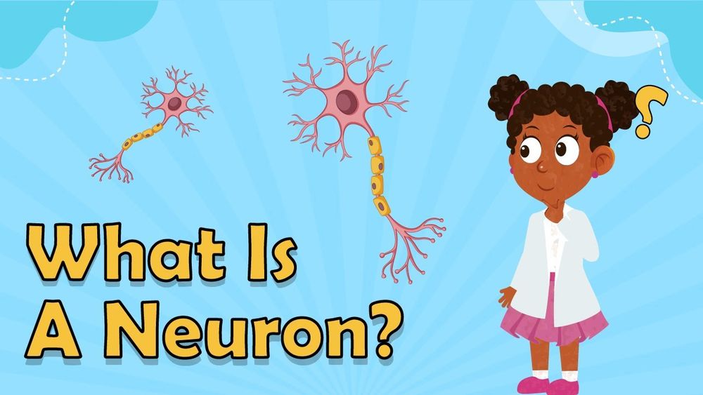 Screenshot of What Is A Neuron?