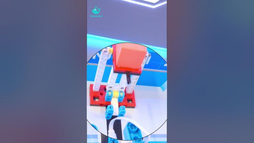 Screenshot of WhalesBot STEM Toys Tutorial