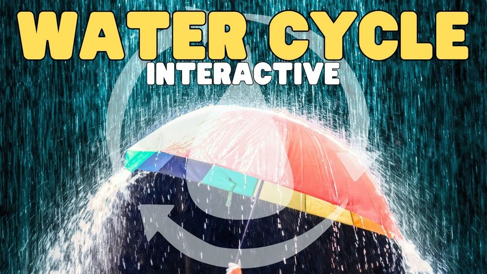 Screenshot of Water Cycle Interactive Video