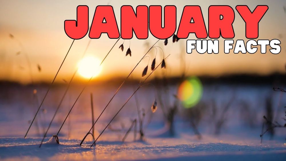 Screenshot of January Fun Facts