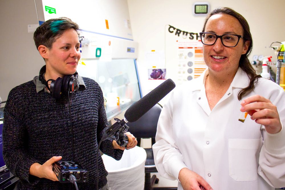 Screenshot of Podcast Producer Insights Screenshot of Podcast Producer Insights