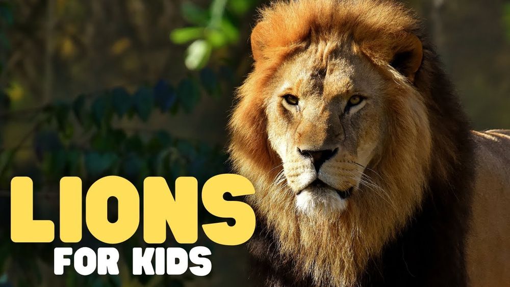 Screenshot of Lions for Kids
