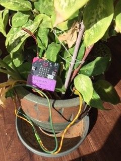 Screenshot of Soil Moisture Overview