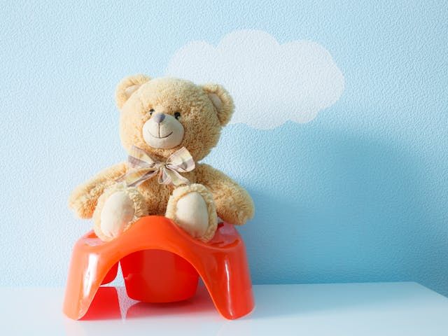 Screenshot of Toilet-Training Challenges in Transitional Kindergarten