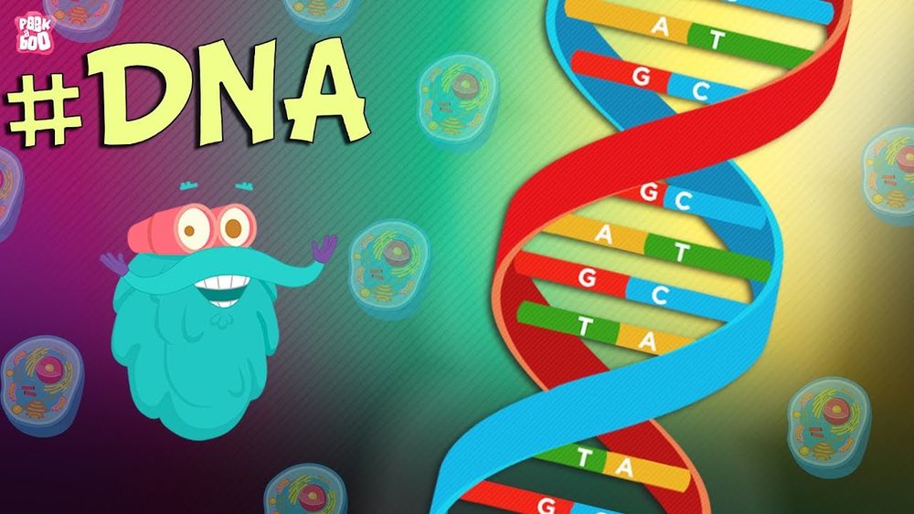 Screenshot of What Is DNA? | The Dr. Binocs Show